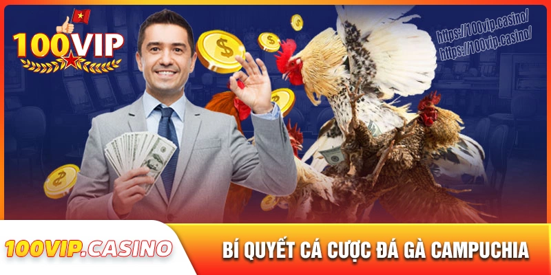 Bí quyết chơi đá gà campuchia hiệu quả tại 100vip