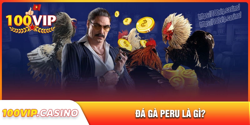 Đá gà peru là gì?
