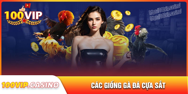 Giống gà thường xuất hiện trong đá gà cựa sắt