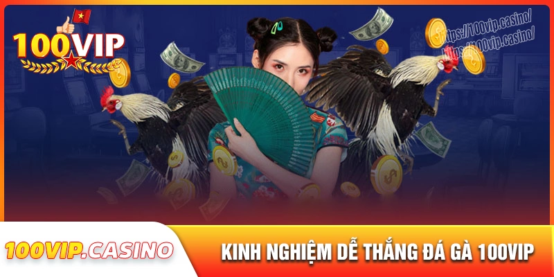 Kinh nghiệm chơi đá gà 100vip dễ ăn cho tân thủ