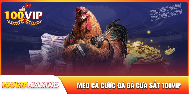 Mẹo chơi đá gà cựa sắt từ cao thủ tại 100vip