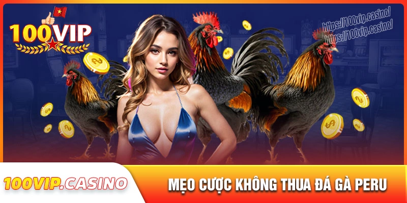 Mẹo chơi đá gà peru hiệu quả không bao giờ thua