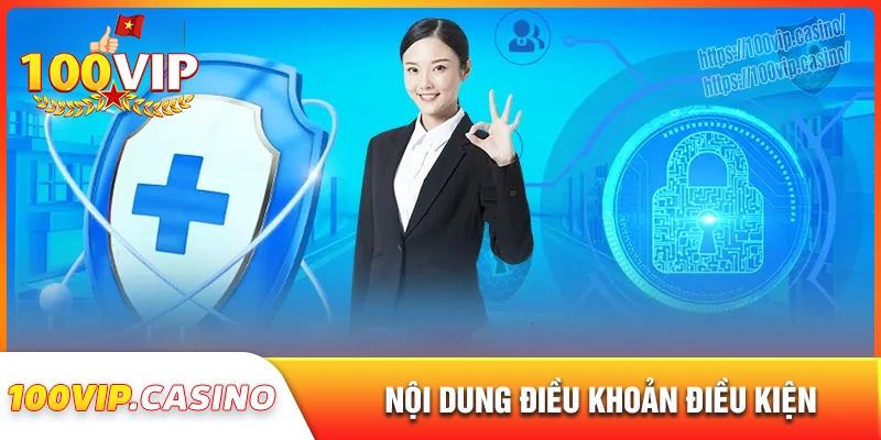 Nội dung chính sách điều khoản điều kiện 100vip