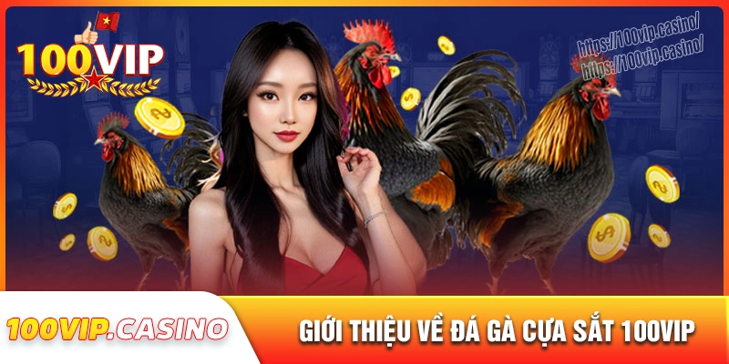 Tổng quan về đá gà cựa sắt tại 100vip
