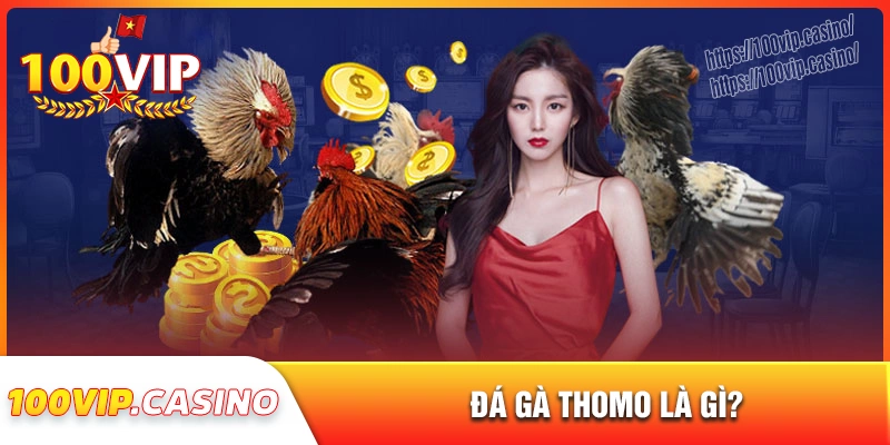 Tổng quan về đấu trường đá gà thomo