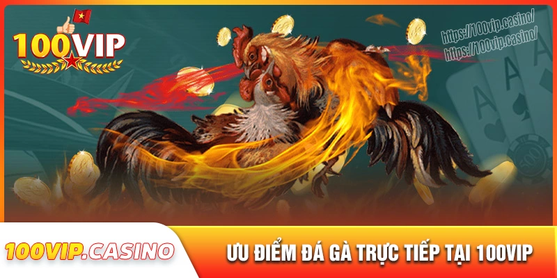 Trải nghiệm đá gà trực tiếp tại 100vip có gì đặc biệt?